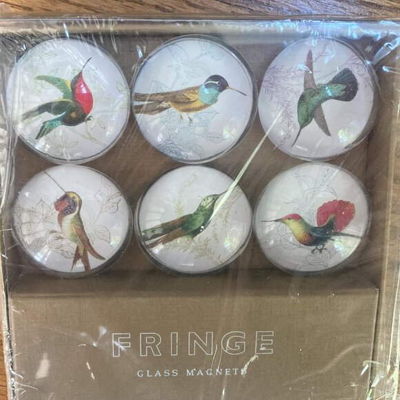 🆕 Hummingbird Glass Magnets - Picture 1 of 5